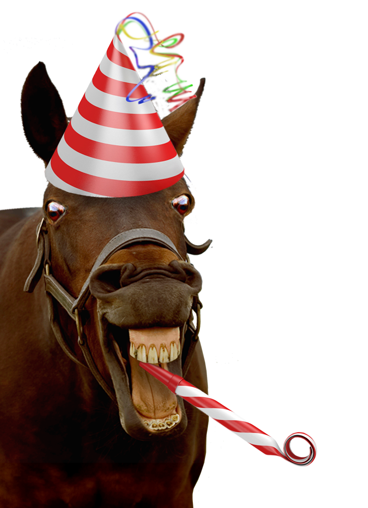 horse