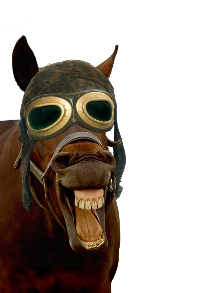 horse