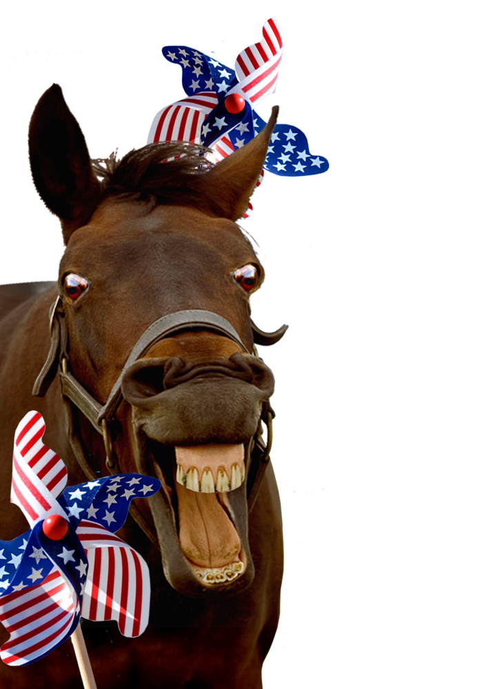 horse