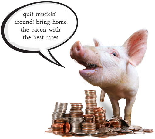 Quit messing around! Bring home the bacon with the best rates.