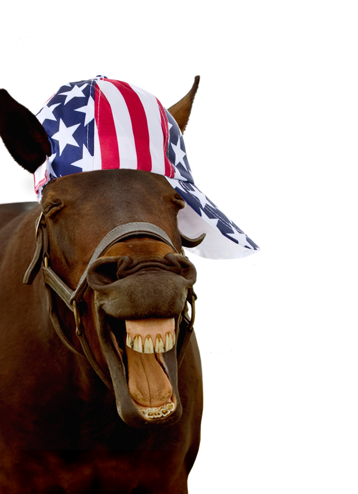 horse